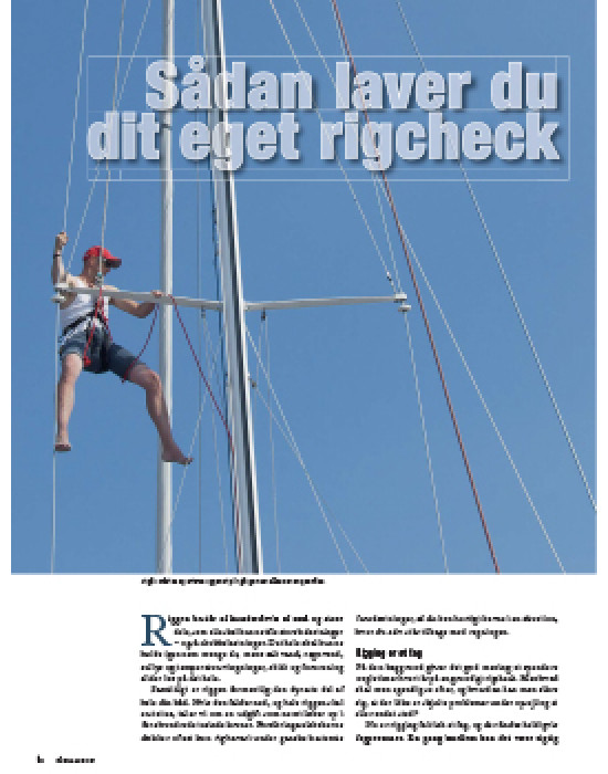 Sådan laver du dit eget rigcheck